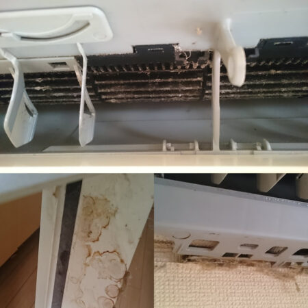 掃除の前にエアコン内部の現状確認