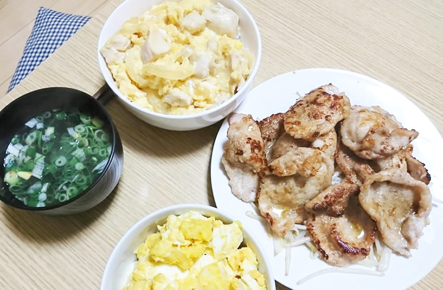 下味冷凍（親子丼、生姜焼き）
