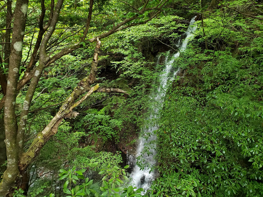 【これぞインスタ映え！】岐阜県の絶景「付知峡（つけちきょう）」までの行き方とインスタ映えスポットはここ！