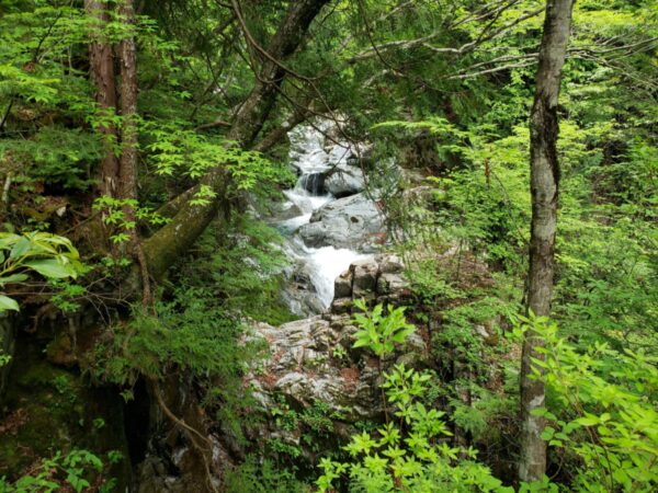 【これぞインスタ映え！】岐阜県の絶景「付知峡（つけちきょう）」までの行き方とインスタ映えスポットはここ！